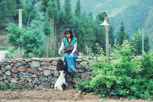 a woman sitting on a stone wall with a dog at Maison de Hill Home in Dồng Văn