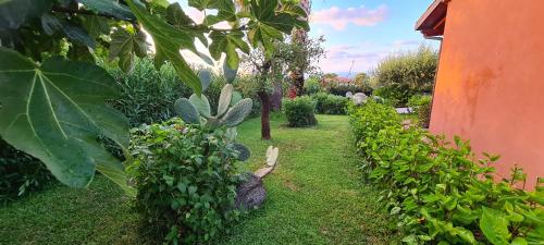 Zahrada ubytování Sunset House a Zambrone