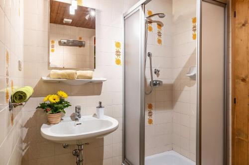 uma casa de banho com um lavatório e um chuveiro em Pardellerhof Tschafonblick em Campodazzo