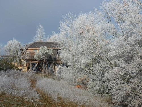 an old cabin in the middle of a field with trees at Cabane-hobbit de Samsaget in Eyvignes-et-Eybènes