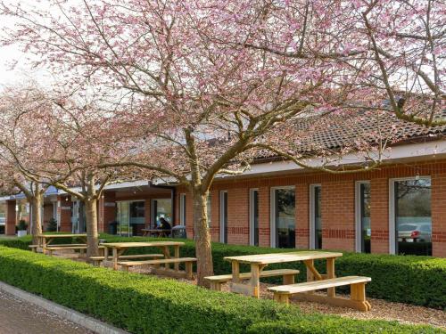 un grupo de mesas de picnic frente a un edificio en Novotel Milton Keynes en Milton Keynes