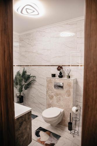 a bathroom with a toilet and a sink at Luxury Wellness Home II. Balatonboglár in Balatonboglár
