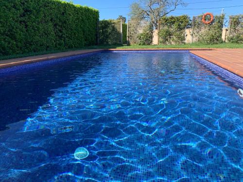 een zwembad met blauw water in een tuin bij Can Mas in Sant Pere Pescador