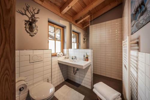 ein Bad mit einem WC und einem Waschbecken in der Unterkunft Mountainspirit in Mayrhofen