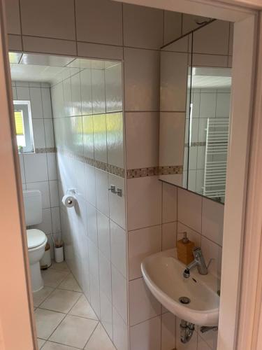 a bathroom with a sink and a toilet and a mirror at HIKE & BIKE zwischen Rhein und Mosel in Waldesch