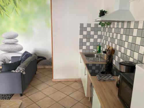 uma cozinha com um sofá e um lavatório em Sélénite, Chaleureuse & cocooning em Bogny Sur Meuse