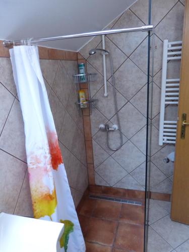 eine Dusche mit Duschvorhang im Bad in der Unterkunft Vineyard cottage Mavrica in Dragatuš