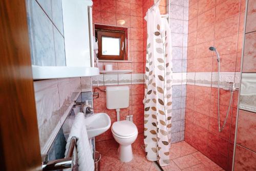 a bathroom with a toilet and a sink and a shower at Zelena Oaza - B&B in Miklavž pri Ormožu
