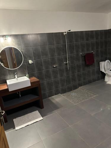 a bathroom with a sink and a shower and a toilet at Chez Diarra in Saint-Louis