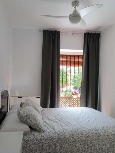 Alameda 1 dormitorio