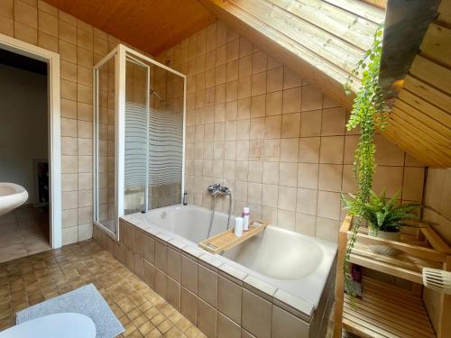 Ένα μπάνιο στο Apartment Harzperle - Lautenthal