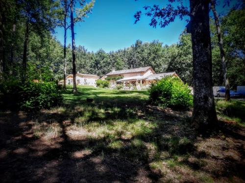 a house in the middle of a forest at La Forêt des Trois Hiboux - Le Clos Napoleon Bed&Breakfast in Salon