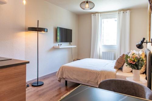 Lyon centre appartement meublé