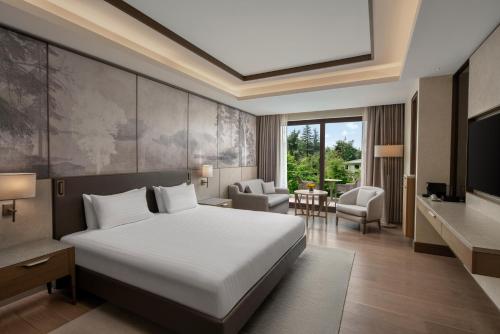 um quarto de hotel com uma cama e uma televisão em NG Enjoy em Sapanca