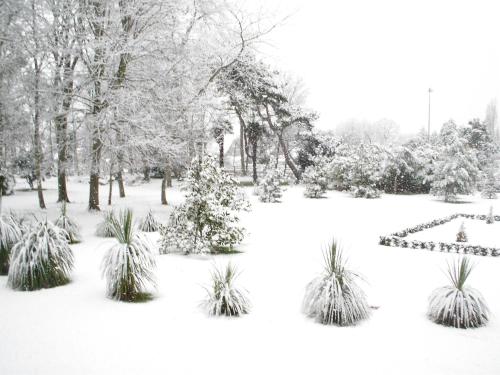 a park covered in snow with plants and trees at Manoir de la Marjolaine in Cabourg