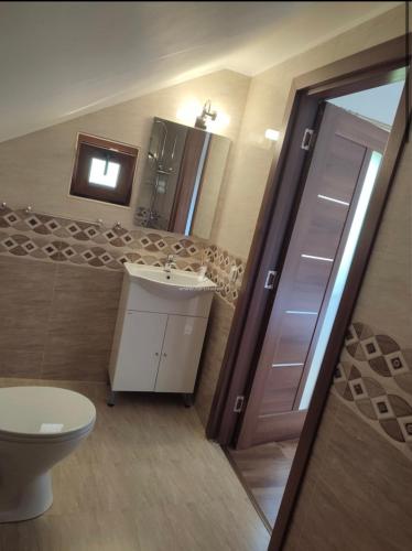 a bathroom with a toilet and a sink and a mirror at Casa de vacanță in Orlat
