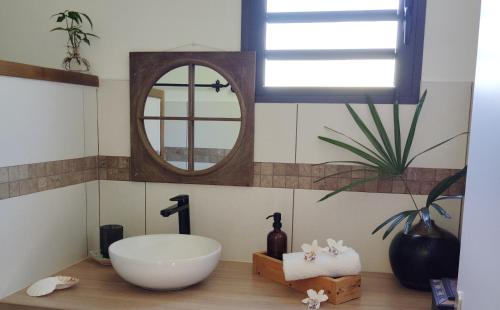 ein Bad mit einem Waschbecken und einem Spiegel in der Unterkunft Les Balisiers du Sud in Saint-Joseph