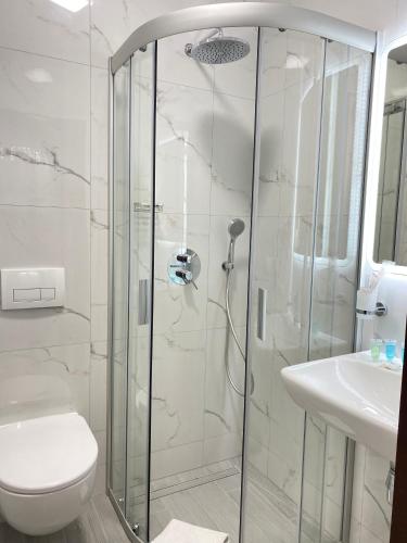 a bathroom with a shower and a toilet and a sink at Grand Christer Hotel in Kyiv
