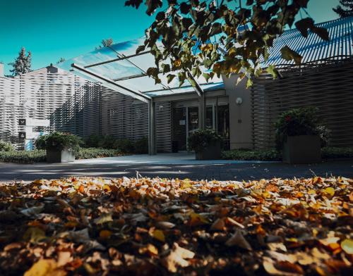a pile of leaves on the ground in front of a building at Hotel Edison Poznań Lotnisko Ławica in Baranowo