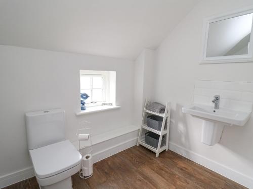 紐波特的住宿－Ty Caio，白色的浴室设有卫生间和水槽。