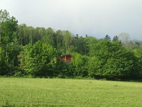 eine Hütte in den Bäumen auf einem Feld in der Unterkunft Vyhlídka pod Javorovým in Třinec