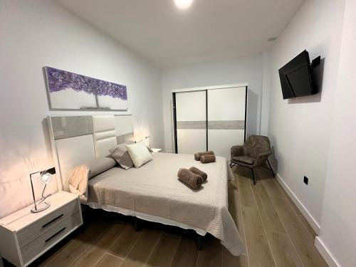 DS Ziryab Suites 2