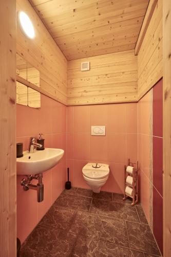 a bathroom with a sink and a toilet at Chalet Lauterbrunnen in Lauterbrunnen