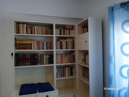Biblioteca en la casa o chalet