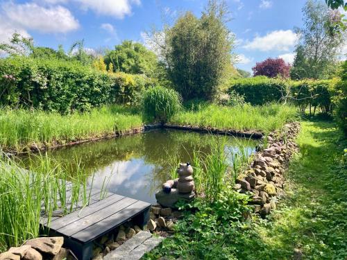 a pond with a wooden bench in a garden at Ferienhaus NEDAL NEUG100 in Wangerland