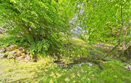 a forest with trees and a stream of water at Cozy Home In Donji Zvecaj With Kitchen in Donji Zvečaj