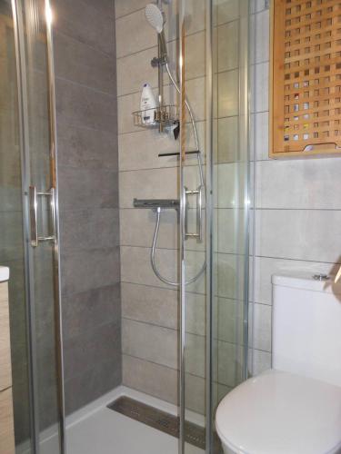 une salle de bain avec une douche avec des toilettes et un lavabo dans l'établissement APPT 2 PIECES 21m2 + TERRASSE 26m2 REF 4052, à Le Castellas