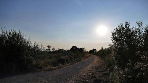 a dirt road with the sun in the sky at Luxe Glamping Met eigen badkamer voor 5 Personen Bashful in Behelp