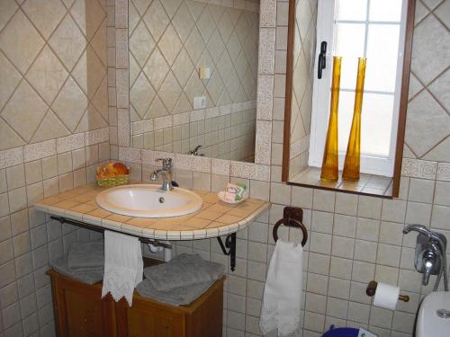 uma casa de banho com um lavatório e um espelho em Your Island Finca Picacho D em Tegueste