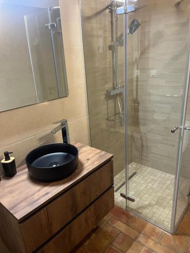 a bathroom with a sink and a shower at Casa dos Sapos in Mértola
