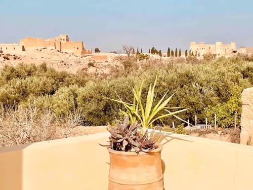 Gallery image of Superbe Villa piscine chauffée bali Marrakech in Marrakech