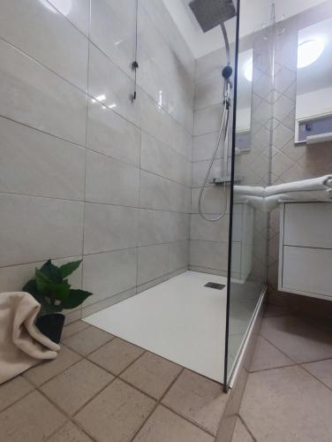 a shower with a glass door in a bathroom at Agape in Marco Simone