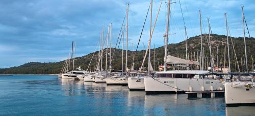 a bunch of boats are docked in the water at Adriaticoast Holiday Apartments- Dalmatian Dream in Drage