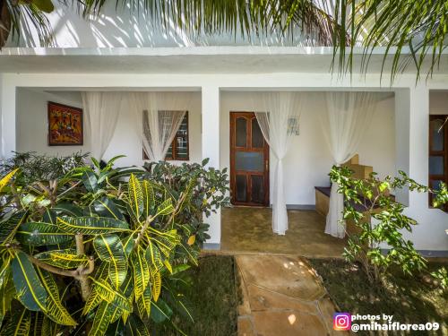 a front view of a house with plants at Tofauti Inn in Makunduchi