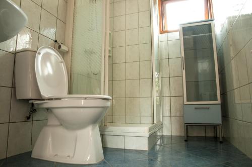 een badkamer met een toilet en een douche en een raam bij Camping Boslust, Bungalow de Koekoek in Putten