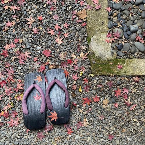 a pair of flip flops on the ground with autumn leaves at Guesthouse Kioto in Kyoto