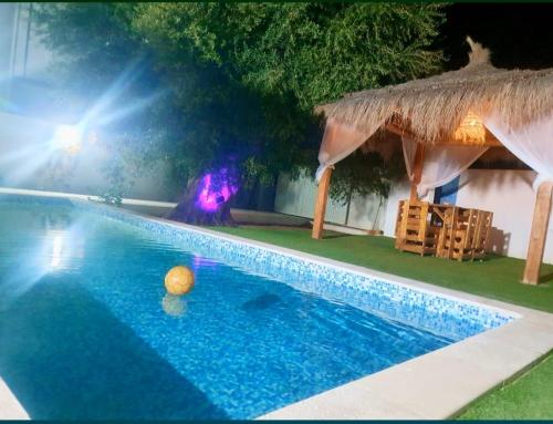 a swimming pool with a ball next to a hut at Villa de luxe avec piscine privée sans vis à vis à Djerba in Aghīr