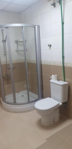 a bathroom with a shower and a white toilet at HOUSE IN AL AIN - 4 in Al Ain