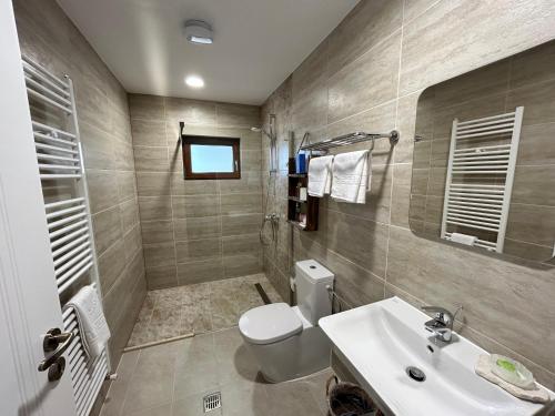 La salle de bains est pourvue de toilettes et d'un lavabo. dans l'établissement Tiarra Mountain Lodge, à Beliş