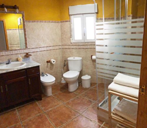a bathroom with a toilet and a sink and a mirror at CASA MARIBEL in Güéjar-Sierra