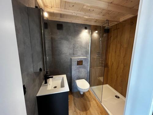 a bathroom with a sink and a toilet and a shower at Pensjonat Żurawi Kąt in Górkło