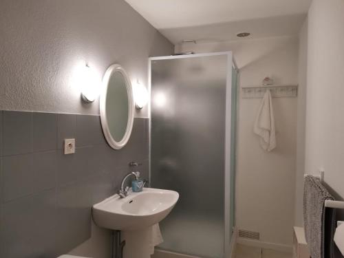 une salle de bain avec un lavabo et une douche avec un miroir dans l'établissement Gite Regal, à Suaux