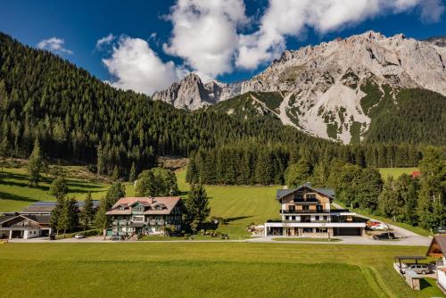 ラムサウ・アム・ダッハシュタインにあるBrandhofの山を背景にした緑地の家