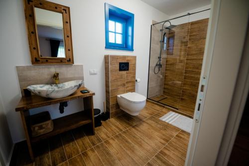 Un baño con lavabo, inodoro y ducha. en La Bunici, en Vişeu de Sus