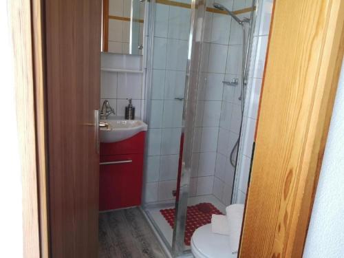 a bathroom with a shower and a toilet and a sink at Ferienwohnung Claudia in San Bernardino