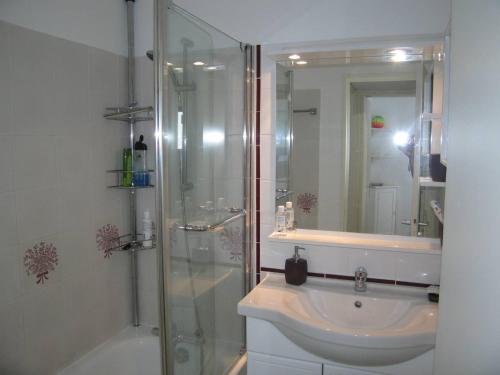 une salle de bain avec une douche, des toilettes et un lavabo dans l'établissement Saint-Cyprien: T2 cabine rénové 6 pers, piscine, parking, à 100m de la plage - FR-1-106-80, à Saint-Cyprien